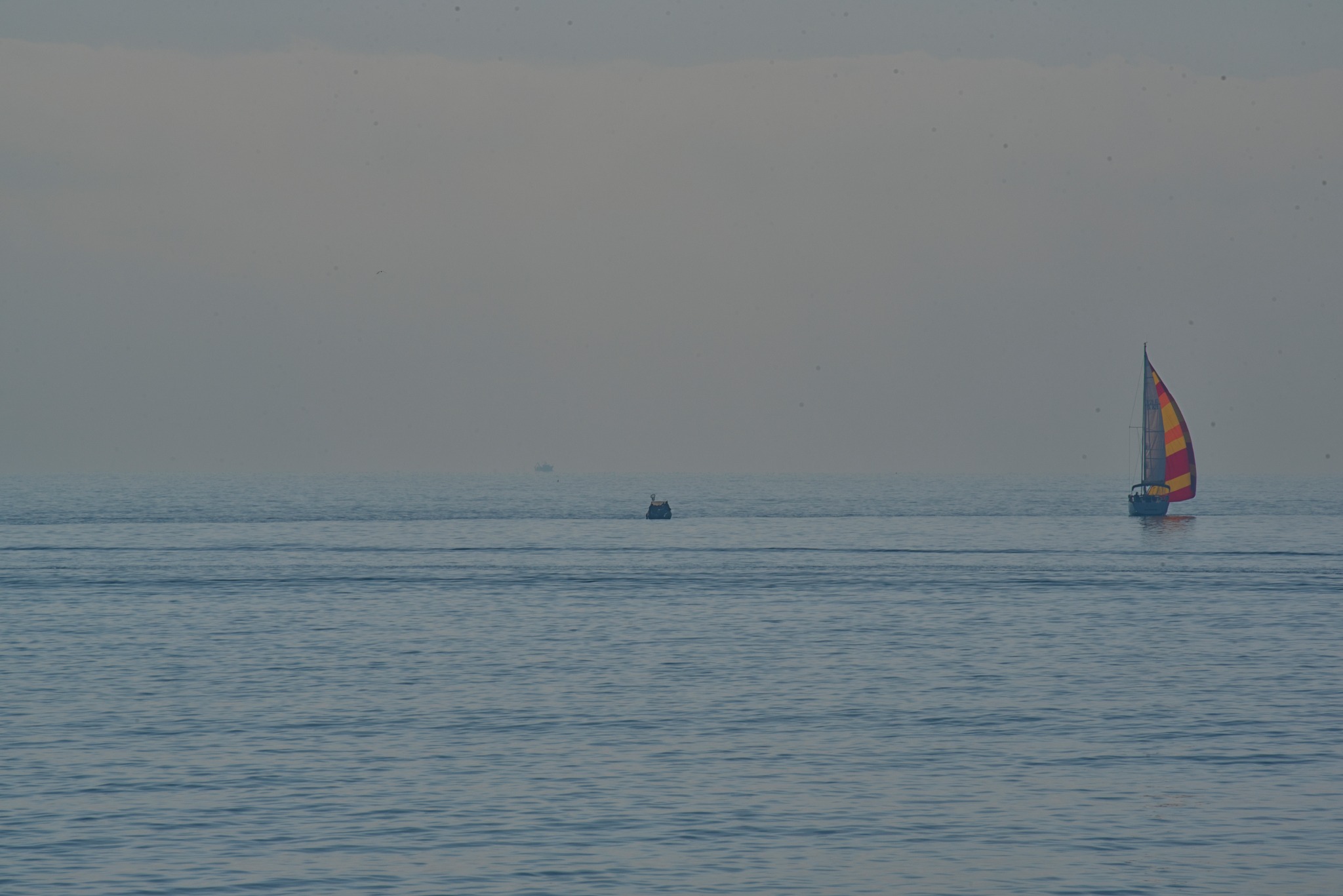 Dimmi che vento spira e saprai che mare avrai